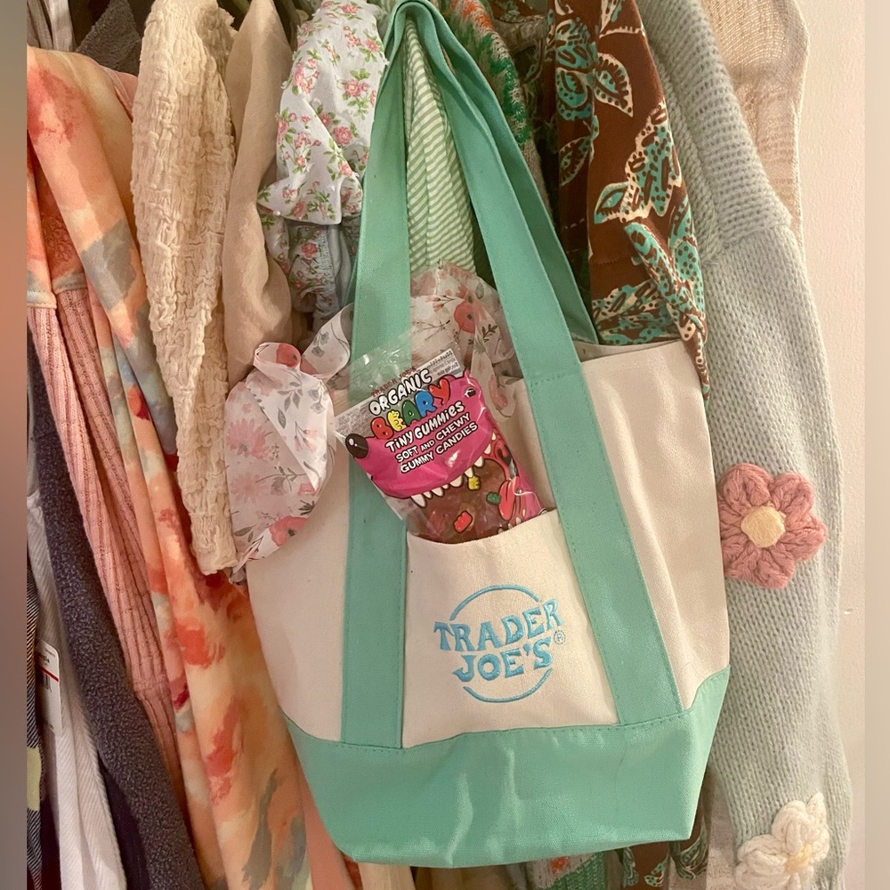 💐BNWT💐Trader Joe’s Mini Pastel Canvas Tote Bag That’s Gone Viral SOLD OUT 💚